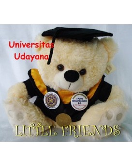 Boneka Wisuda Universitas Udayana - Teknik Sipil (30 cm)